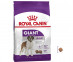 Сухой Корм Royal Canin (Роял Канин) Для Собак Гигантских Пород GIANT Adult 15кг 