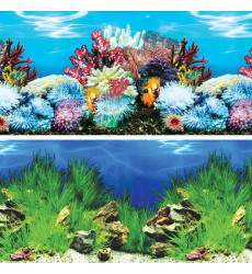 Фон Laguna (Лагуна) 8006/9022 у Берегов Австралии/Холмистая Долина 300*600мм