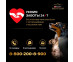  cc3abce2-54cd-11ef-930e-aabfb9da0270_f8eviebbybn8fpno 