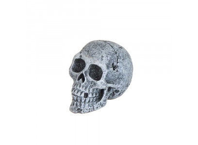 Декорация Prime (Прайм) Череп Серый S Pr-086227 5,5*3*4см