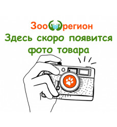 Подставка Низкая + 2 Миски Для Кошек и Собак Мелких Пород 2*180мл 

