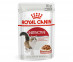 Влажный Корм Royal Canin (Роял Канин) Для Кошек Аппетитные Кусочки в Соусе Health Nutrition Instinctive Gravy 85г 
