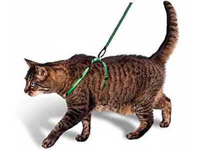Комплект Для Кошек Поводок и Шлея Биосфера Капрон На Подкладке 38168