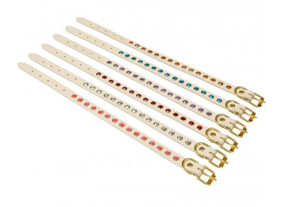 Ошейник Для Собак Брава №12 Со Стразами Арт1205 