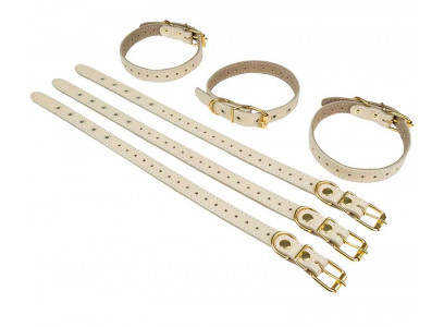 Ошейник Для Собак Брава №17 с Подкладом Не Украшен Арт1706 