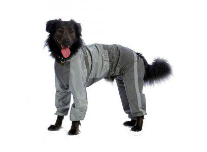 Комбинезон Для Собак Породы Американский Кокер Спаниель Тузик Холодный Девочка 