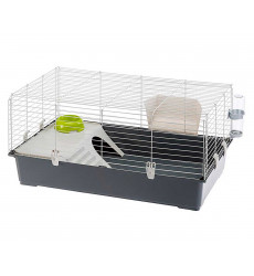 Клетка Для Кроликов Ferplast (Ферпласт) Rabbit 100 New 95*57*46см Цветная Бюджет