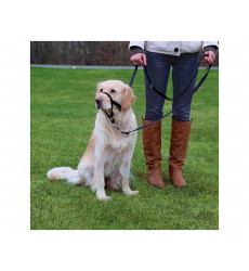 Намордник Для Собак Trixie (Трикси) Тренировочный L-XL 37см 13005