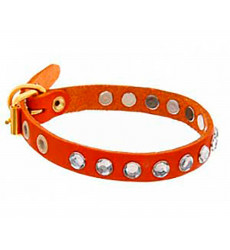 Ошейник Для Собак Брава №14 Стразы Арт650