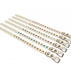 Ошейник Для Собак Брава №17 Украшен Арт1702