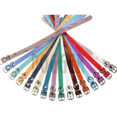 Ошейник Для Собак Dogger (Доггер) 1,2см Одинарный Цветной О120000ц 