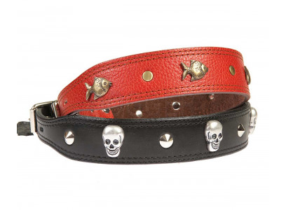 Ошейник Для Собак Dogger (Доггер) 2,5см Расширенный Фурнитура Цветной О251100ц 