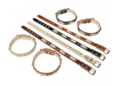 Ошейник Для Собак BraVa (Брава) 2см 2слоя Украшенный №20 Арт024 