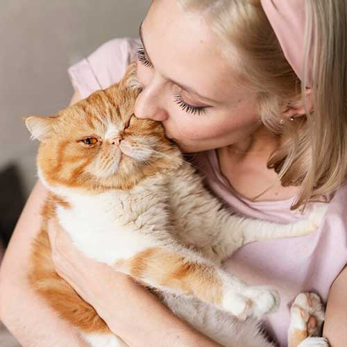 Почему нельзя целовать кошку