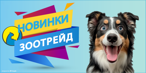 Новинки