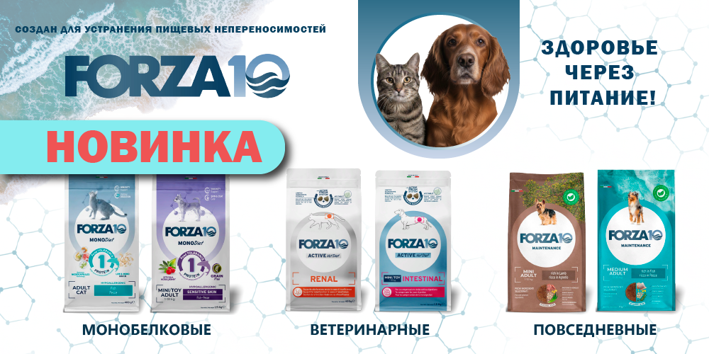 Новинка! Корм Forza для кошек и собак.